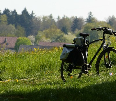 Bicycle in Nature