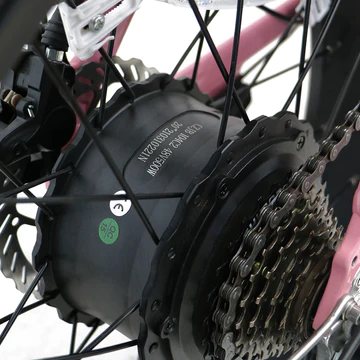 E-FAT-STEP Rear Hub Motor