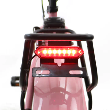 E-FAT-STEP Taillight